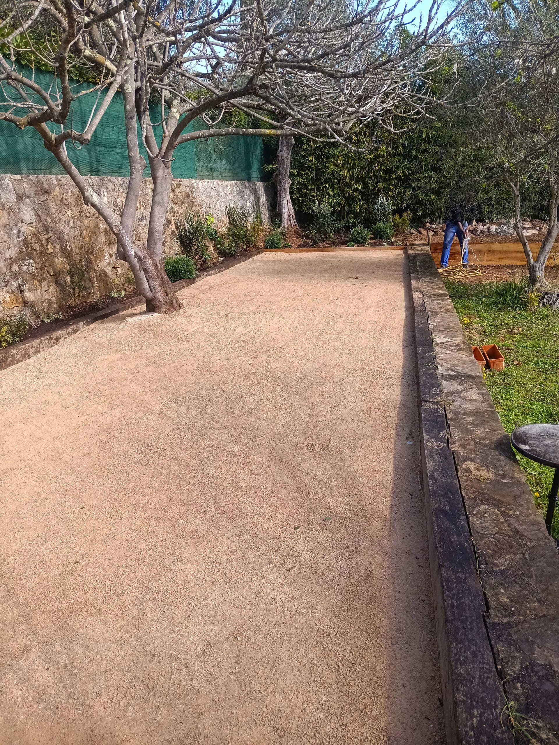 20250307_121546